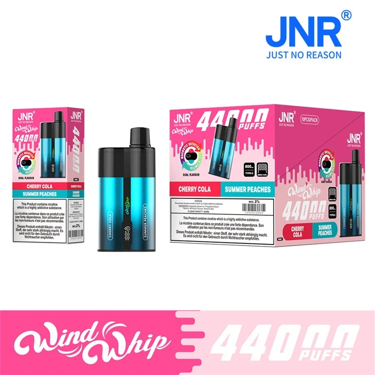 JNR WindWhip 44000 Puffs factory