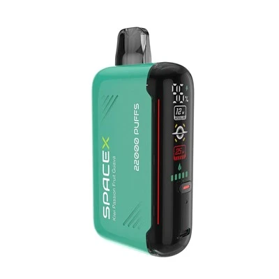 Vapme SpaceX 22000 dvesma